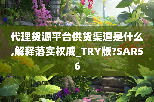 代理货源平台供货渠道是什么,解释落实权威_TRY版?SAR56