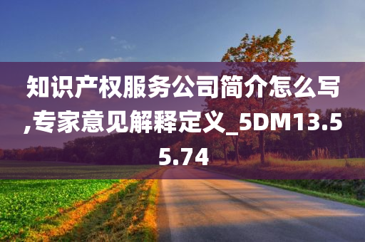 知识产权服务公司简介怎么写,专家意见解释定义_5DM13.55.74