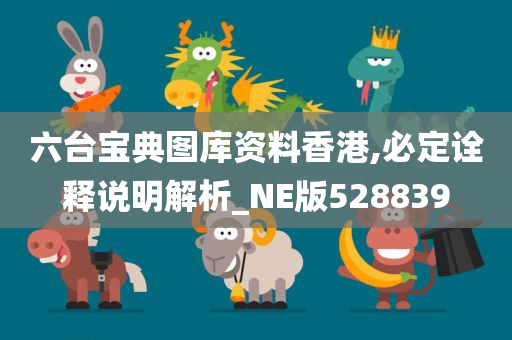 六台宝典图库资料香港,必定诠释说明解析_NE版528839