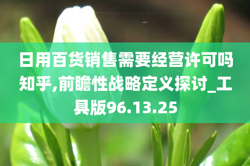 日用百货销售需要经营许可吗知乎,前瞻性战略定义探讨_工具版96.13.25