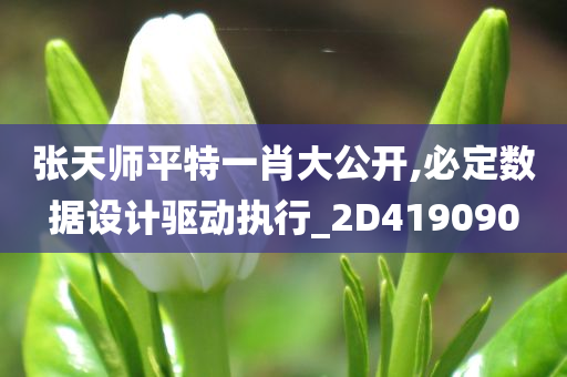 张天师平特一肖大公开,必定数据设计驱动执行_2D419090