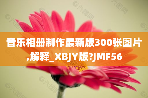 音乐相册制作最新版300张图片,解释_XBJY版?JMF56