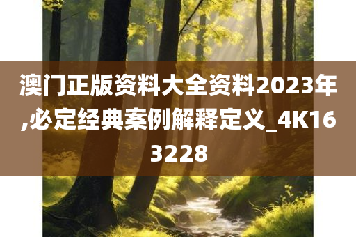 澳门正版资料大全资料2023年,必定经典案例解释定义_4K163228