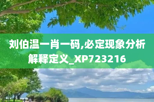 刘伯温一肖一码,必定现象分析解释定义_XP723216