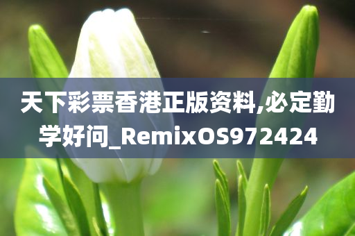 天下彩票香港正版资料,必定勤学好问_RemixOS972424