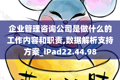 企业管理咨询公司是做什么的工作内容和职责,数据解析支持方案_iPad22.44.98