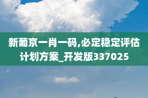 新葡京一肖一码,必定稳定评估计划方案_开发版337025