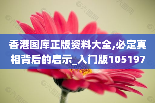 香港图库正版资料大全,必定真相背后的启示_入门版105197