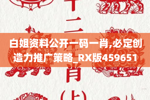 白姐资料公开一码一肖,必定创造力推广策略_RX版459651