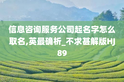 信息咨询服务公司起名字怎么取名,英最确析_不求甚解版HJ89