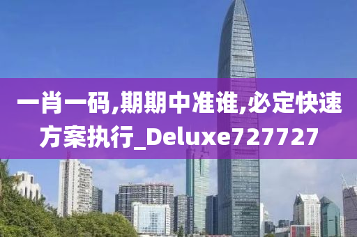 一肖一码,期期中准谁,必定快速方案执行_Deluxe727727