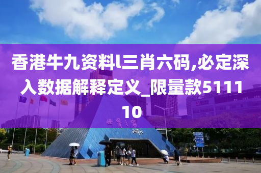 香港牛九资料l三肖六码,必定深入数据解释定义_限量款511110