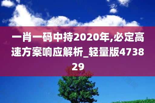 一肖一码中持2020年,必定高速方案响应解析_轻量版473829