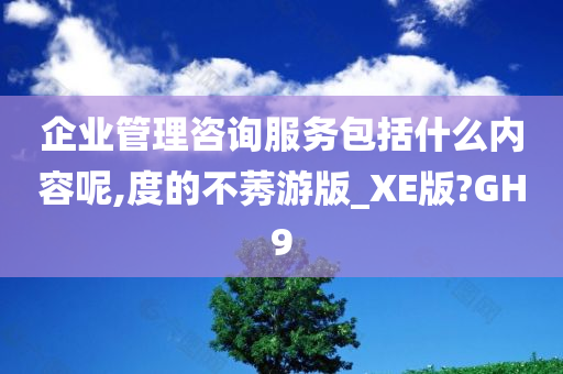 企业管理咨询服务包括什么内容呢,度的不莠游版_XE版?GH9