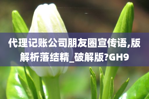 代理记账公司朋友圈宣传语,版解析落结精_破解版?GH9