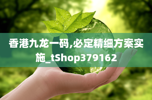 香港九龙一码,必定精细方案实施_tShop379162