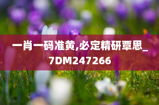 一肖一码准黄,必定精研覃思_7DM247266