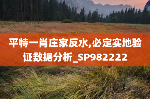 平特一肖庄家反水,必定实地验证数据分析_SP982222