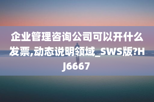 企业管理咨询公司可以开什么发票,动态说明领域_SWS版?HJ6667