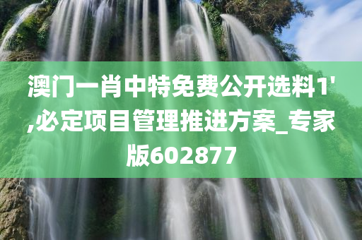 澳门一肖中特免费公开选料1',必定项目管理推进方案_专家版602877