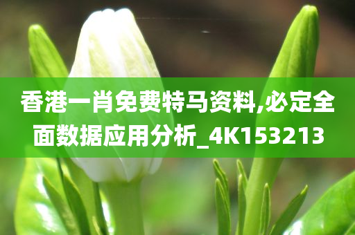 香港一肖免费特马资料,必定全面数据应用分析_4K153213