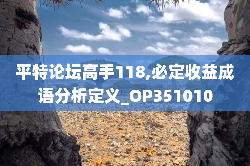 平特论坛高手118,必定收益成语分析定义_OP351010