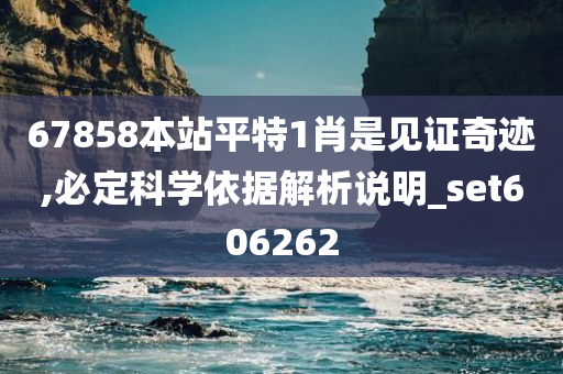 67858本站平特1肖是见证奇迹,必定科学依据解析说明_set606262