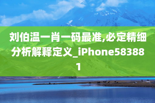 刘伯温一肖一码最准,必定精细分析解释定义_iPhone583881