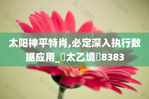 太阳神平特肖,必定深入执行数据应用_‌太乙境‌8383