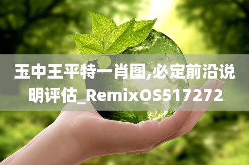 玉中王平特一肖图,必定前沿说明评估_RemixOS517272