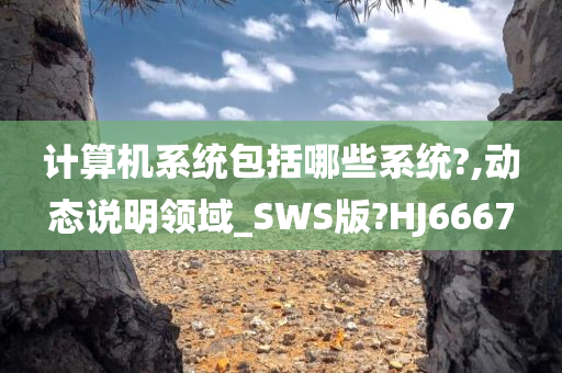 计算机系统包括哪些系统?,动态说明领域_SWS版?HJ6667