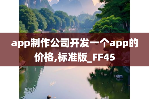 app制作公司开发一个app的价格,标准版_FF45