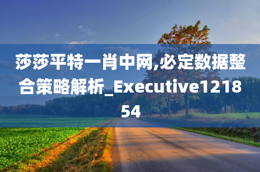 莎莎平特一肖中网,必定数据整合策略解析_Executive121854