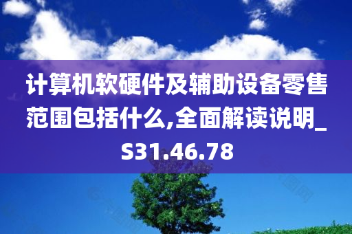 计算机软硬件及辅助设备零售范围包括什么,全面解读说明_S31.46.78