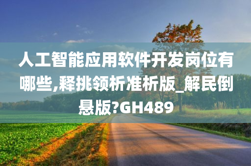 人工智能应用软件开发岗位有哪些,释挑领析准析版_解民倒悬版?GH489