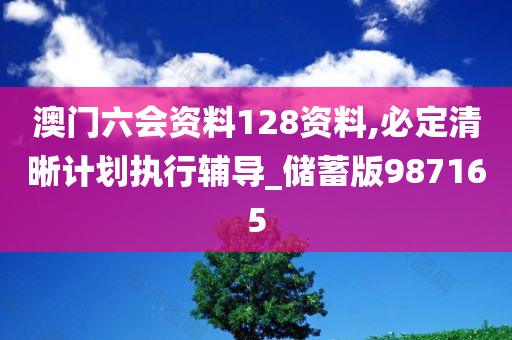 澳门六会资料128资料,必定清晰计划执行辅导_储蓄版987165