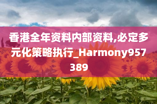 香港全年资料内部资料,必定多元化策略执行_Harmony957389