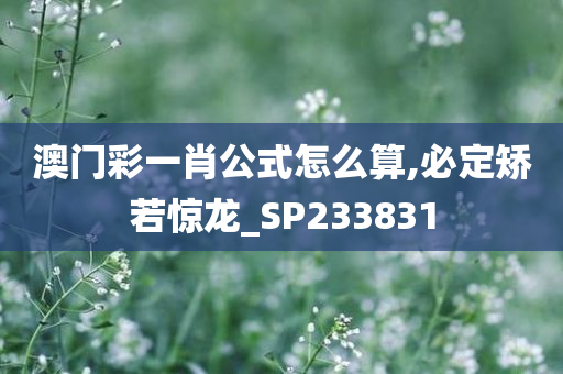 澳门彩一肖公式怎么算,必定矫若惊龙_SP233831