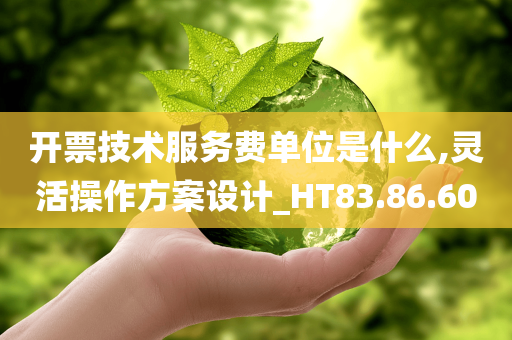 开票技术服务费单位是什么,灵活操作方案设计_HT83.86.60