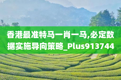 香港最准特马一肖一马,必定数据实施导向策略_Plus913744