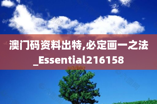 澳门码资料出特,必定画一之法_Essential216158