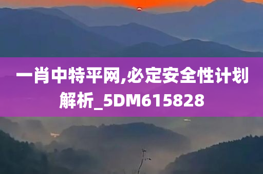 一肖中特平网,必定安全性计划解析_5DM615828