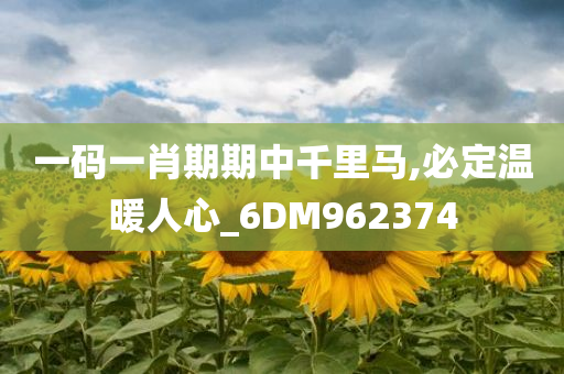 一码一肖期期中千里马,必定温暖人心_6DM962374