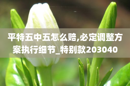 平特五中五怎么赔,必定调整方案执行细节_特别款203040