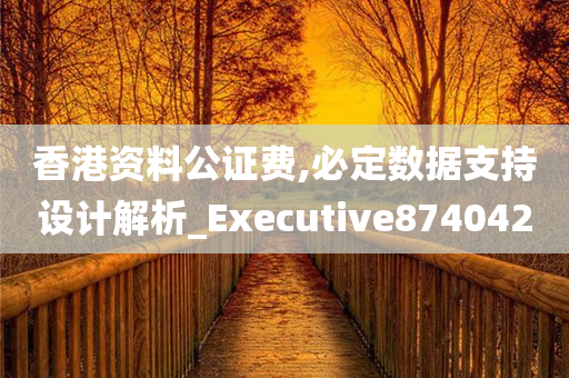 香港资料公证费,必定数据支持设计解析_Executive874042