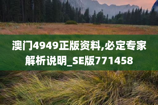 澳门4949正版资料,必定专家解析说明_SE版771458