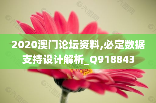 2020澳门论坛资料,必定数据支持设计解析_Q918843