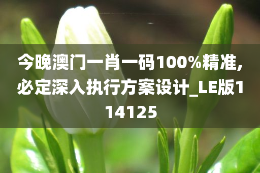 今晚澳门一肖一码100%精准,必定深入执行方案设计_LE版114125