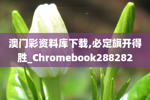 澳门彩资料库下载,必定旗开得胜_Chromebook288282