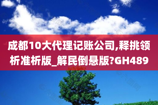 成都10大代理记账公司,释挑领析准析版_解民倒悬版?GH489